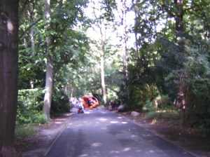 Walking through the Tiergarten