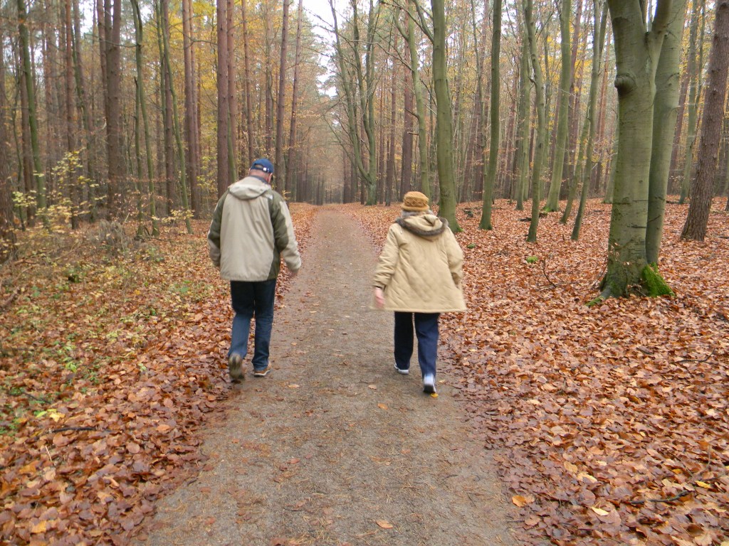 A short walk towards one of the lakes.