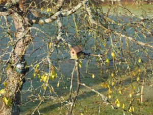 Peter noticed this somewhere in the huge backyard