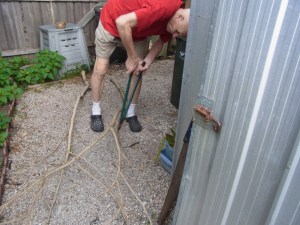 Peter always works hard to keep down the tree growth around our house.