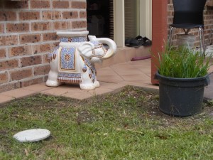It seems this elephant is guarding our front door.