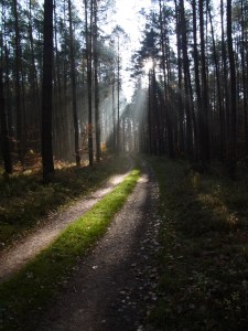 Peter Uwe and Astrid soon disappear on this walking track.