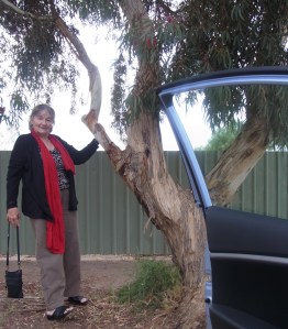 Looking forward to getting coffee and a piece of the famous vanilla slice.