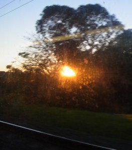 On Monday we went on an early train to Sydney and could see the sun rise shortly after seven. 