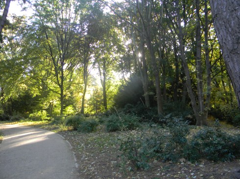 Tiergarten. Berlin, Beginning of Nov. 2012