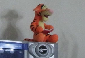 The Tiger-Monkey has found a great spot!