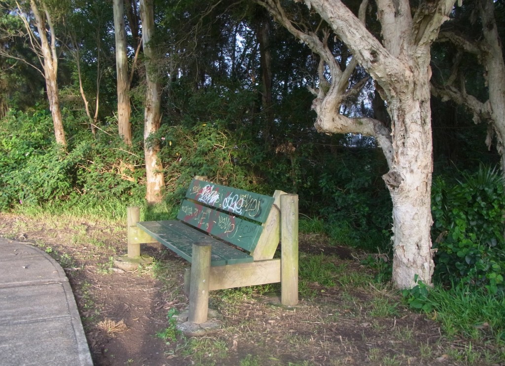 Yesterday, Friday, I took another picture of this seat which I love.