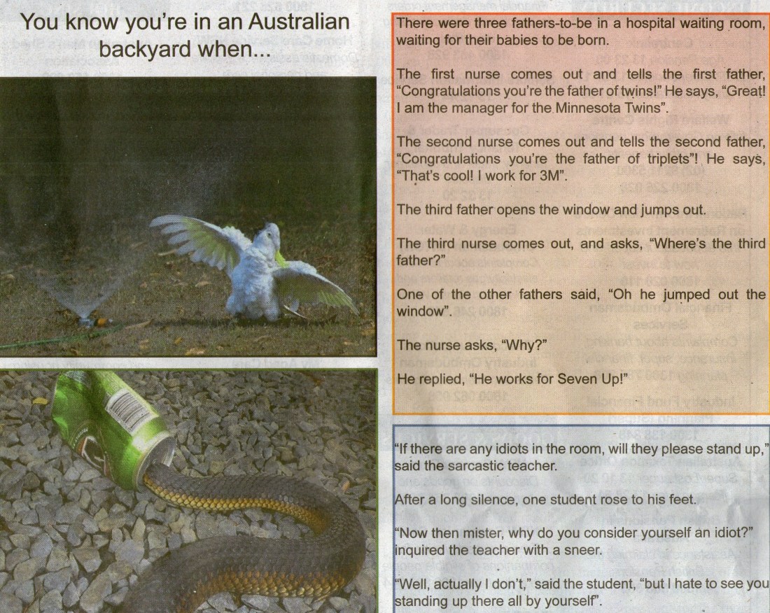 This page I copied from the VOICE OF PENSIONERS AND SUPERANNUANTS OF NSW