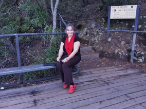 He also took this picture of me. I had a good rest there at this Lookout before we turned back towards the entrance of the Park.