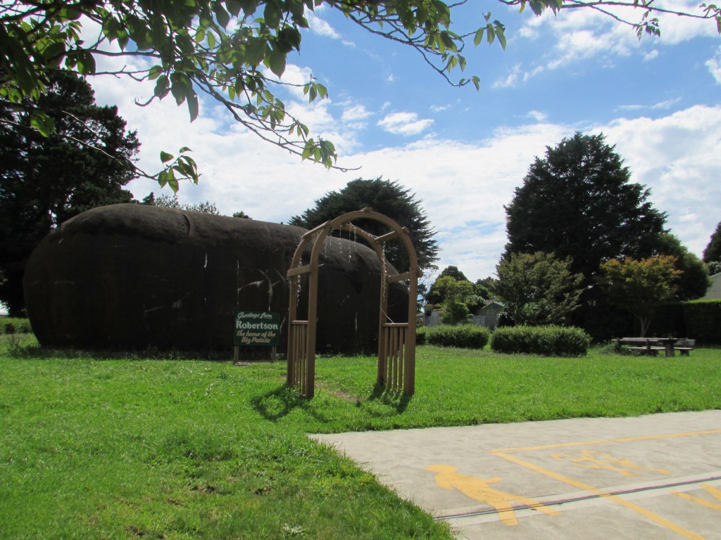 Robertson is famous for its potatoes. This replica is to remind us of it.