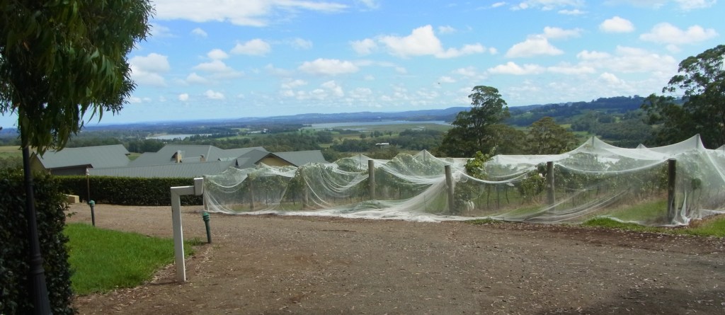 I take a picture of a near by farm.