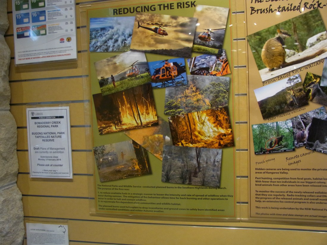 Some of the Display Posters