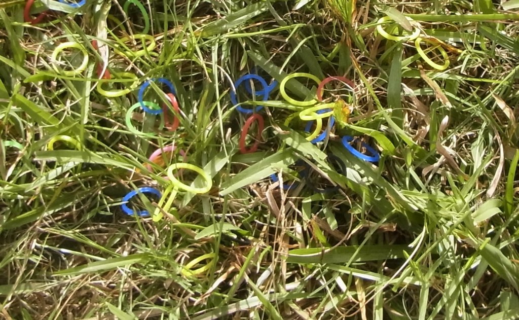 What's this in the grass?