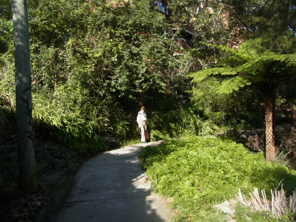 We started our bush walk here.