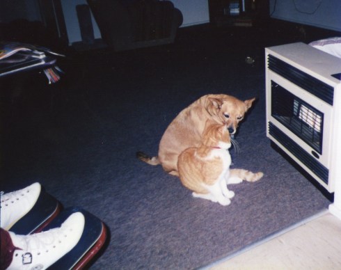 Bonnie and Clyde in front of the gas heater