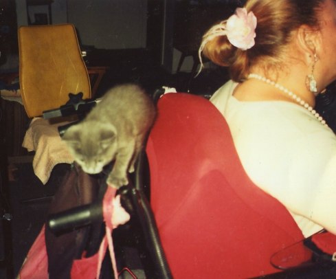 After Gaby lost Clyde, she did get a new kitten.