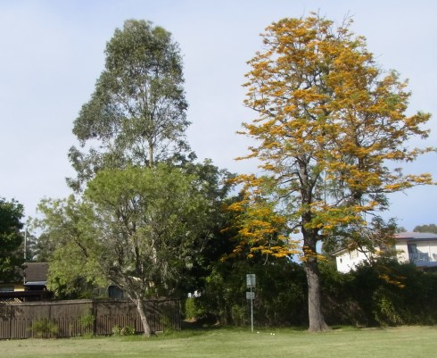 Early morning on the 30th Oct 2014