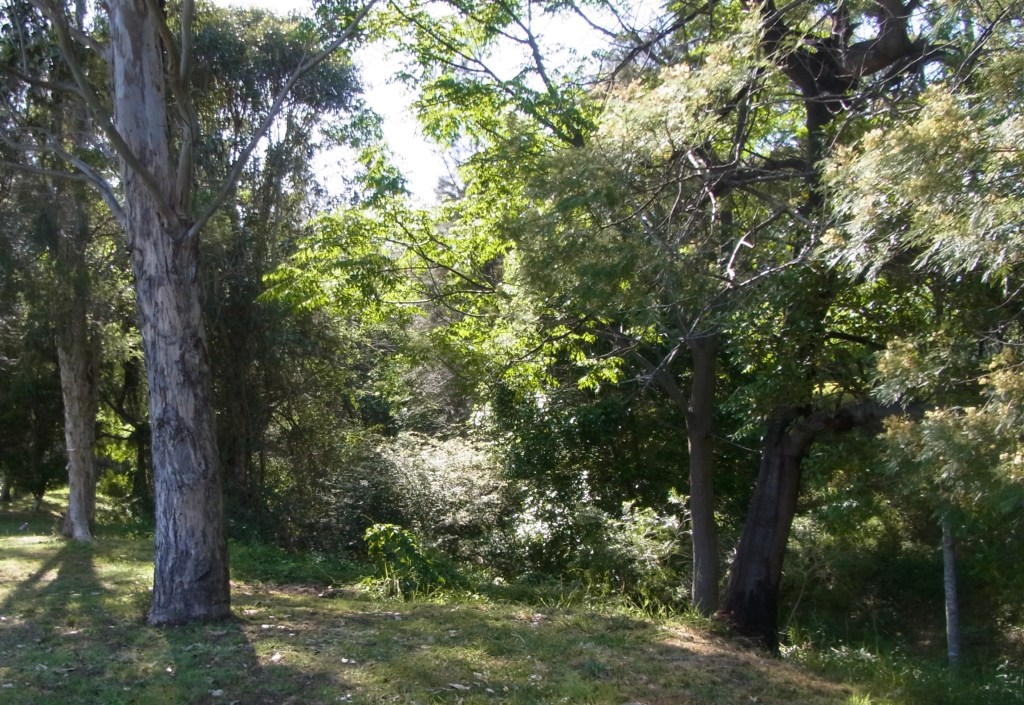 This is a shortcut along Brooks Creek.