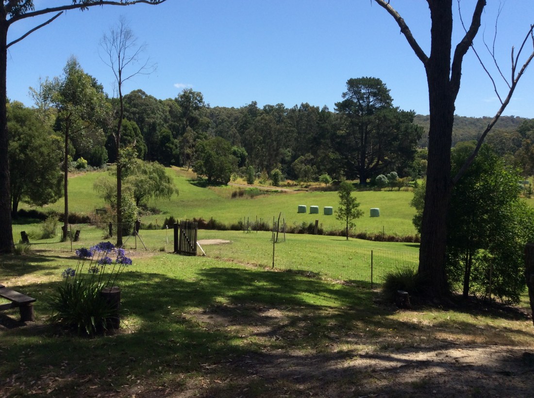 This view we had at the back of the General Store.