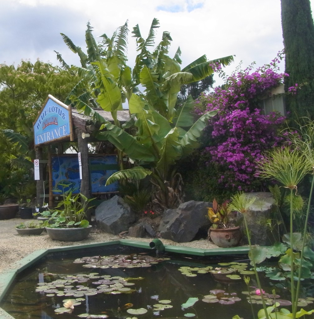 We arrived early and waited near the entrance for our grandson Tristan and his family.