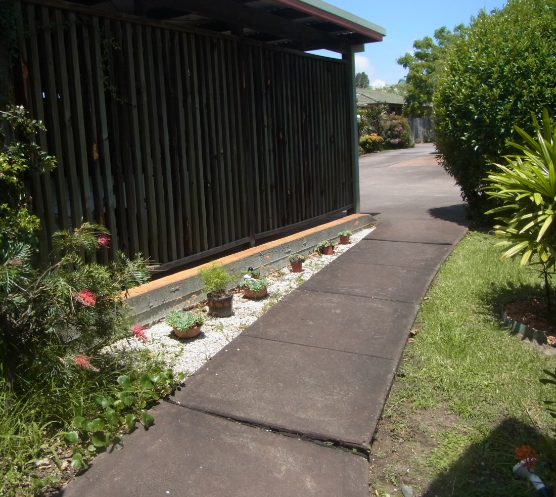 It has been raining a lot. So our front lawn still looks green.