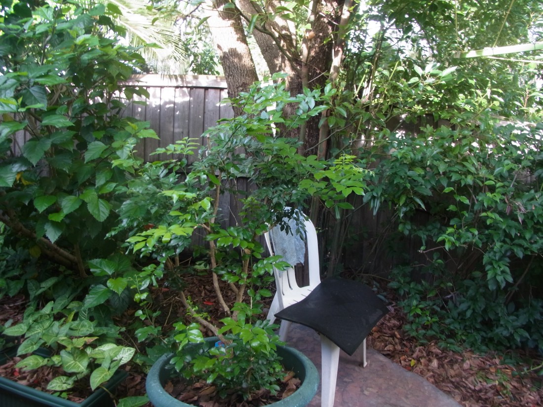 This mat needs to dry out.