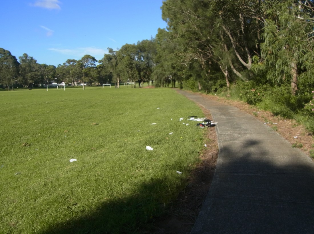 When I started walking yesterday, I saw this along the way!