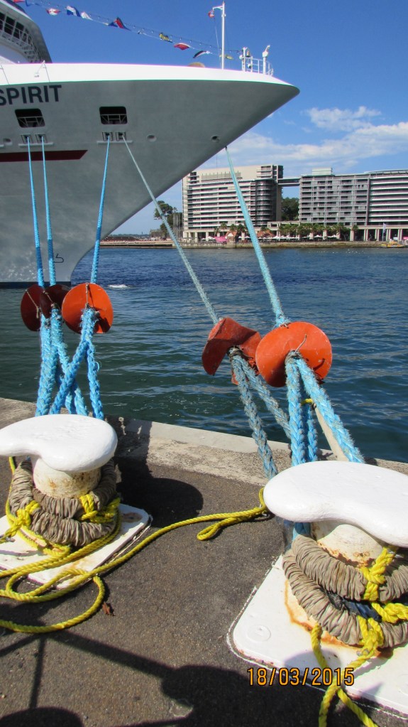 A last look at the harbour. Then we were off to catch our train back home to Dapto.