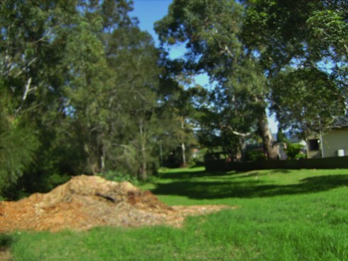 This is a public grass area.  Brooks Creeks is next to these trees on the left, to the right are houses.