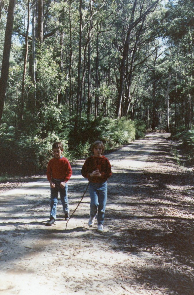 The beautiful bush at Mt Murray