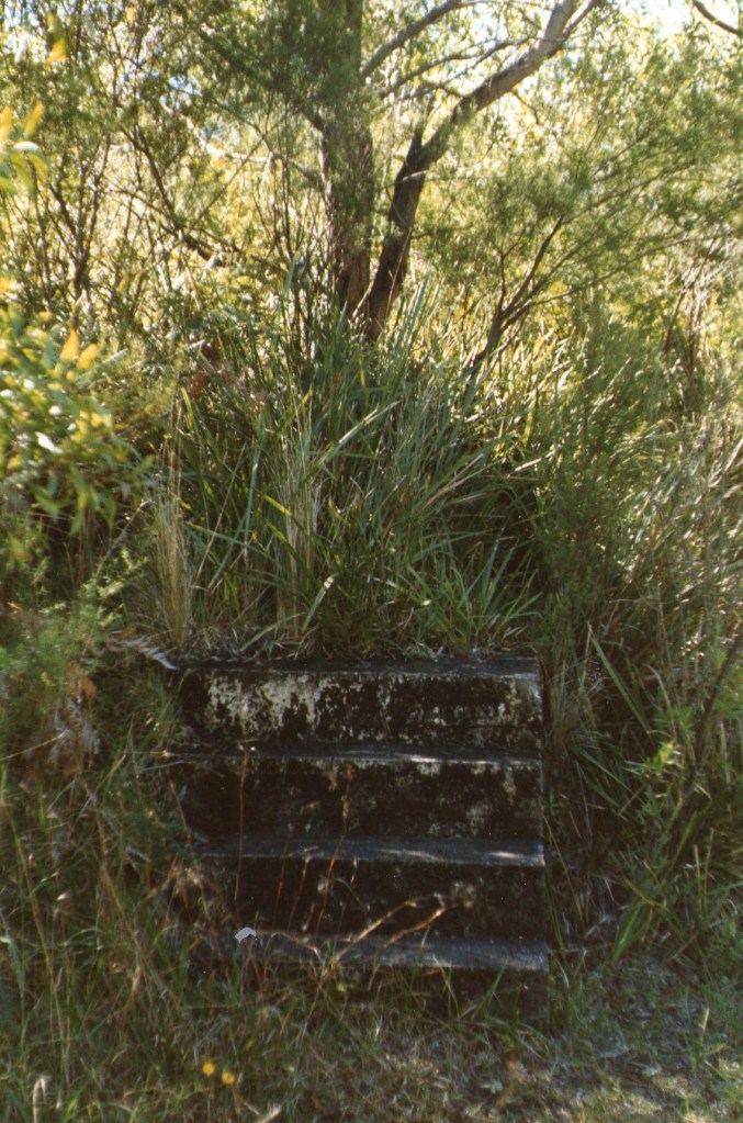 Steps to nowhere! Mt Murray, May 1987