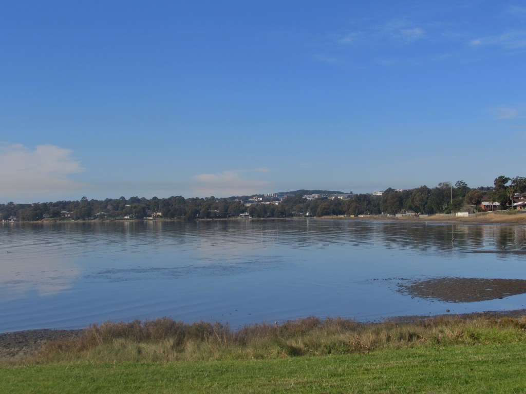 A View of Lake Illawarra from a Park in Oak Flats.