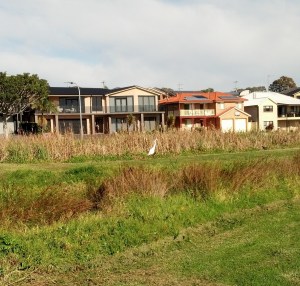 These are some of the houses near the street where we had parked our car.