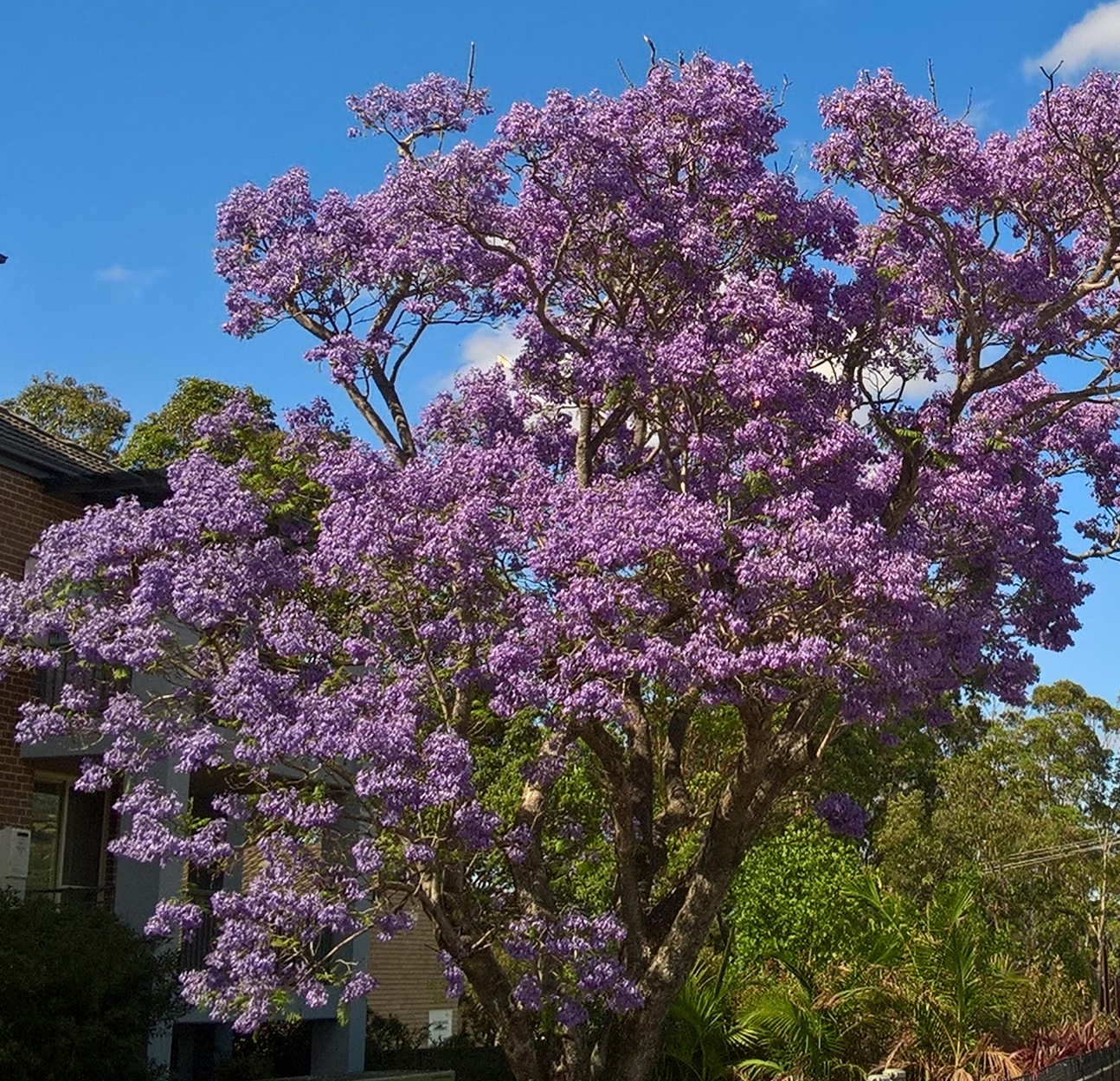 WP_20171115_09_19_41_Pro