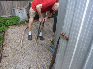 Peter always works hard to keep down the tree growth around our house.