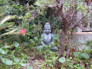 This picture is taken from our front door.