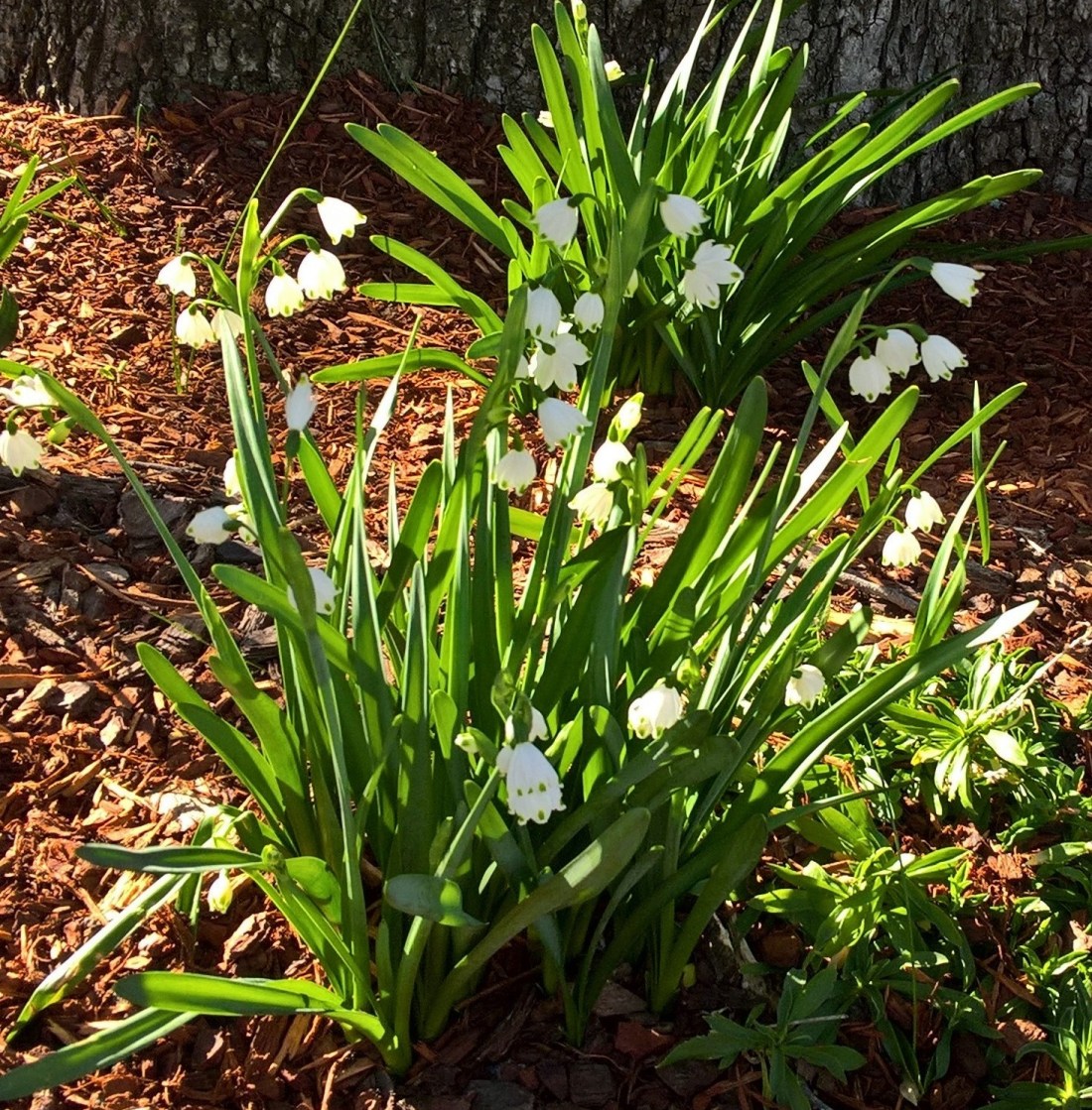 WP_20180729_09_20_44_Pro (3)