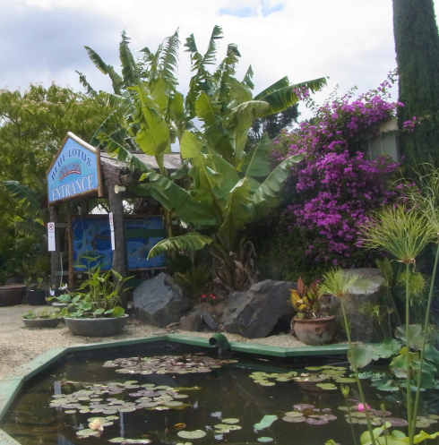 We arrived early and waited near the entrance for our grandson Tristan and his family.