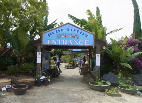 We enter the garden.