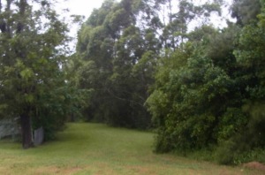 This is near a bridge over Brooks Creek.