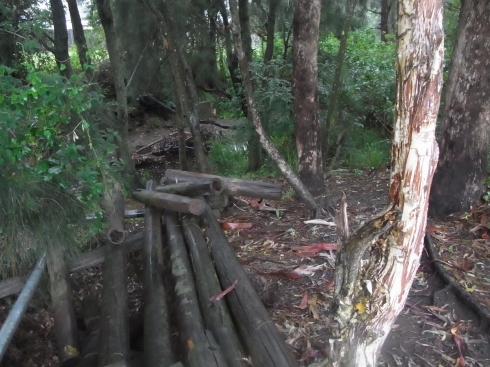 Brooks Creek 'flows' along beside the wooded area on this side of Lakelands Park. Someone tried to build an access here for walking down to the creek.